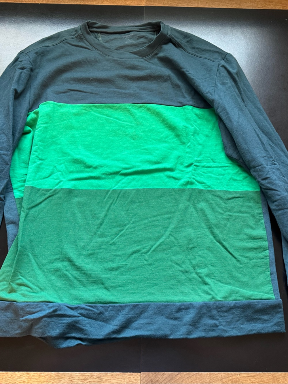 Icebreaker Men’s Long-Sleeve Colorblock crew sweatshirt